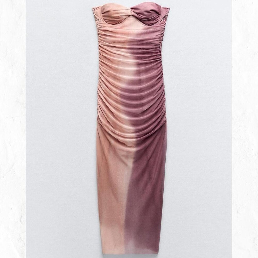 Zara Printed Tulle Dress NWT